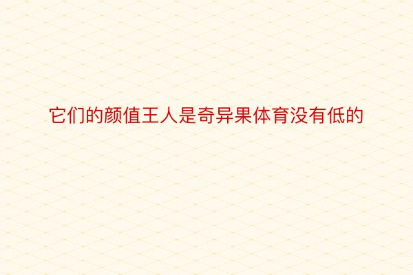 它们的颜值王人是奇异果体育没有低的